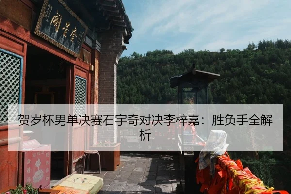 he-sui-bei-nan-dan-jue-sai-shi-yu-qi-dui-jue-li-zi-jia-sheng-fu-shou-quan-jie-xi-1-755.jpg