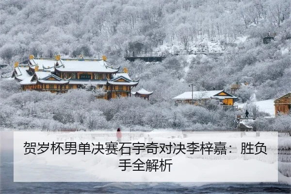 he-sui-bei-nan-dan-jue-sai-shi-yu-qi-dui-jue-li-zi-jia-sheng-fu-shou-quan-jie-xi-3-103.jpg