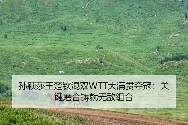 孙颖莎王楚钦混双WTT大满贯夺冠：关键磨合铸就无敌组合