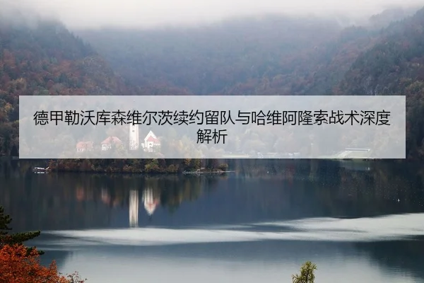 德甲勒沃库森维尔茨续约留队与哈维阿隆索战术深度解析