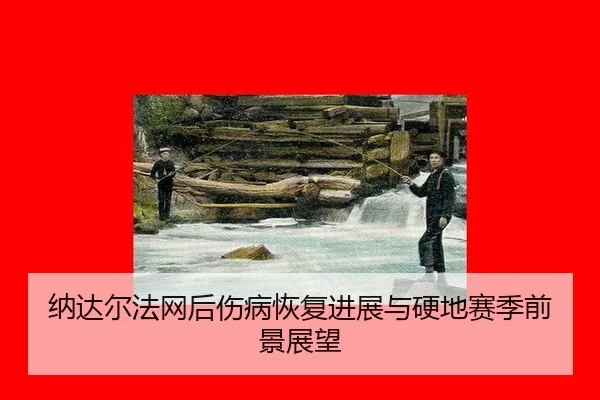 纳达尔法网后伤病恢复进展与硬地赛季前景展望
