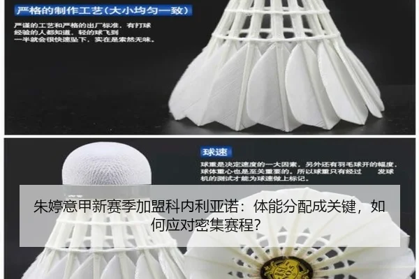 朱婷意甲新赛季加盟科内利亚诺：体能分配成关键，如何应对密集赛程？