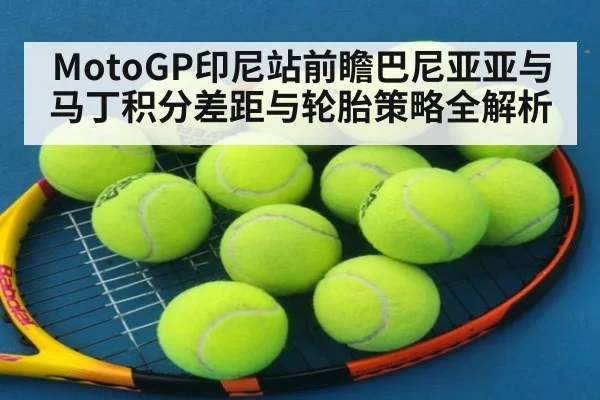 MotoGP印尼站前瞻巴尼亚亚与马丁积分差距与轮胎策略全解析